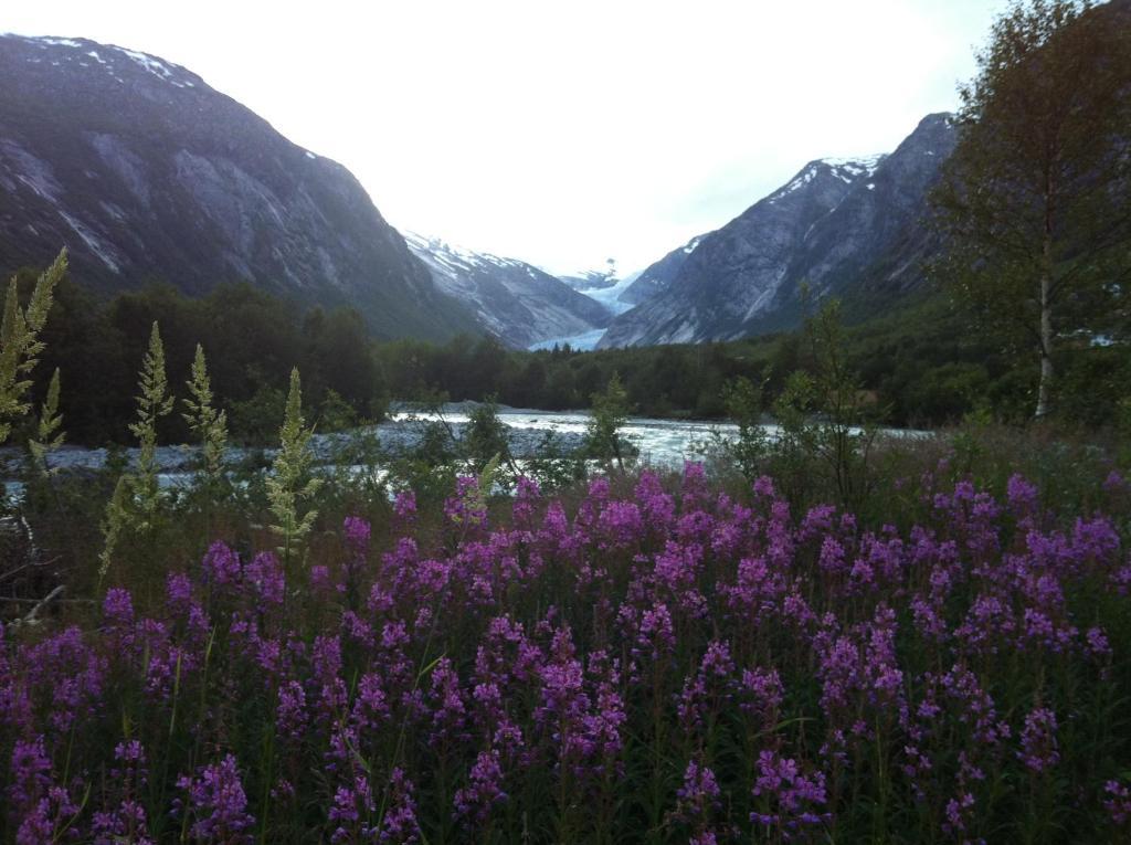 Nigardsbreen Lodge Luster Buitenkant foto